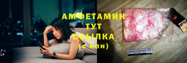 индика Вяземский