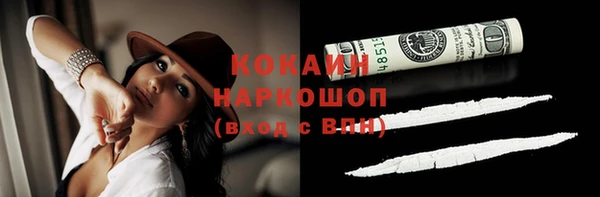 МДПВ Невьянск