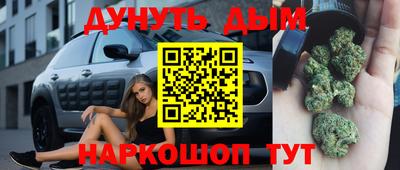 гидра Будённовск