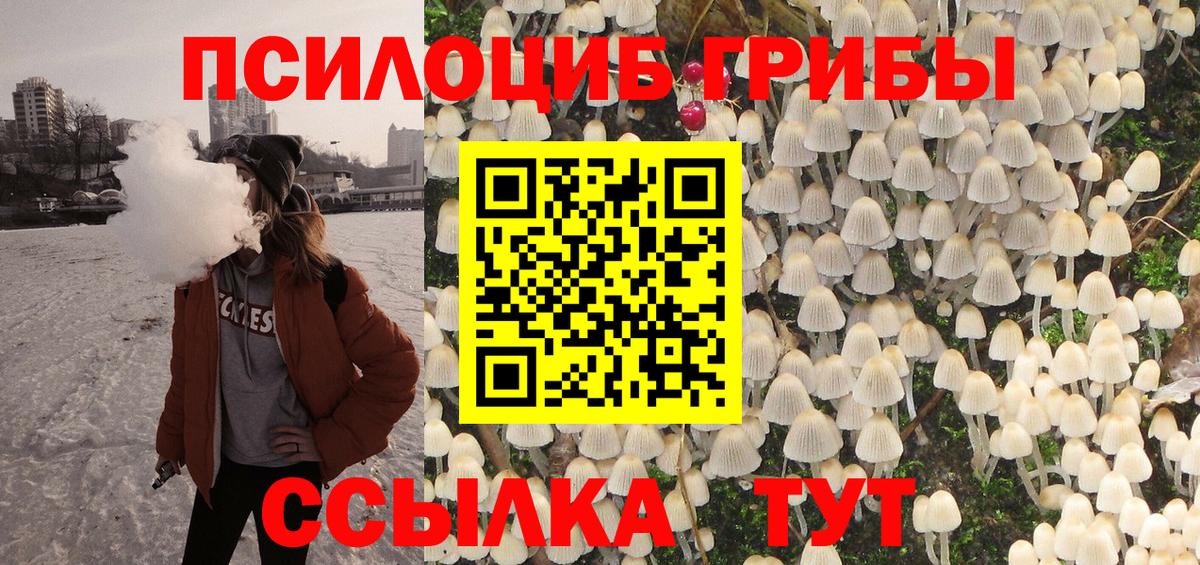 Псилоцибиновые грибы Cubensis Мариинск