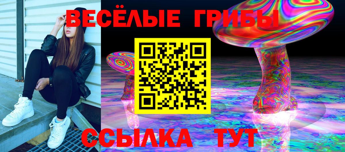 Псилоцибиновые грибы Cubensis  Мариинск 