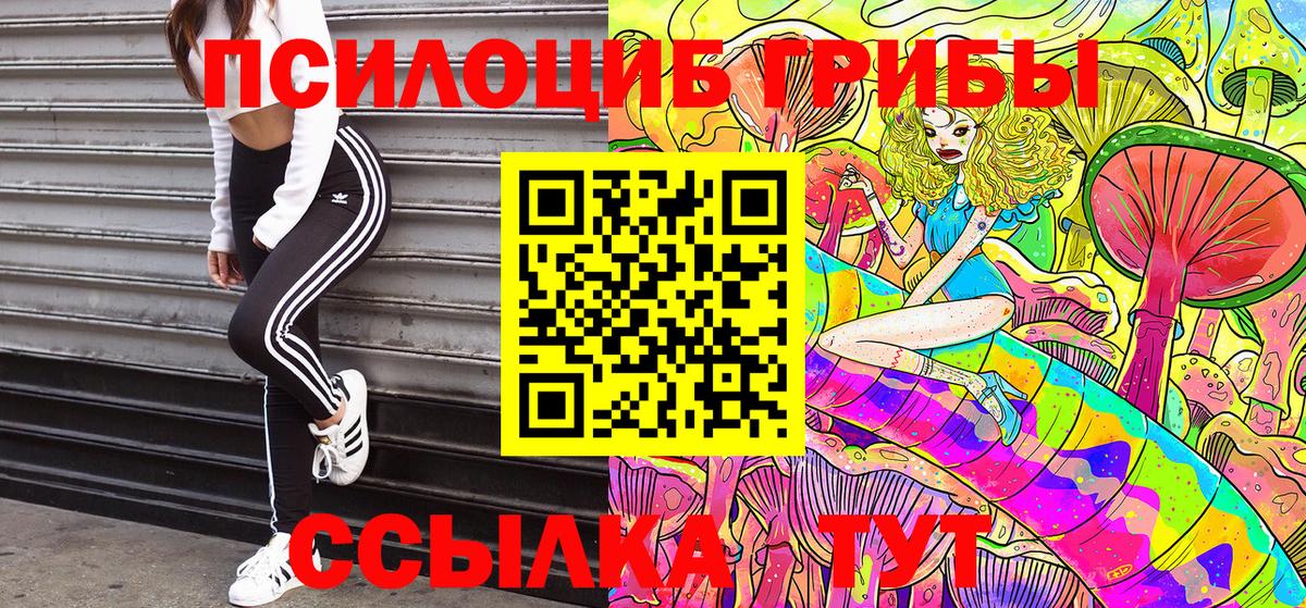 Галлюциногенные грибы мухоморы  Вход с VPN  Мариинск 